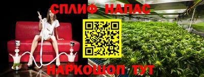 индика Коммунар