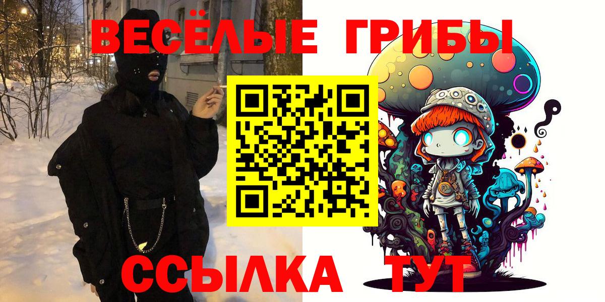 Галлюциногенные грибы Psilocybe  купить   Сокол  Вход с VPN 