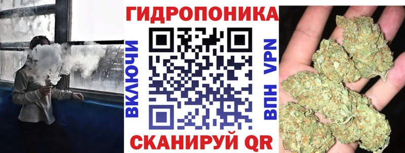 Конопля гибрид  Сокол 