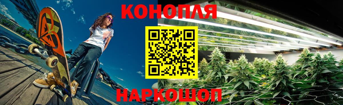 Сокол  Бошки марихуана SATIVA & INDICA  Бошки Шишки Bruce Banner  Каннабис Ganja  Вход с VPN 